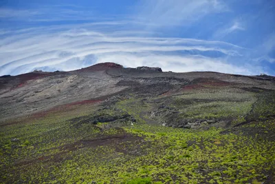 DSC_3629 (Large).JPG